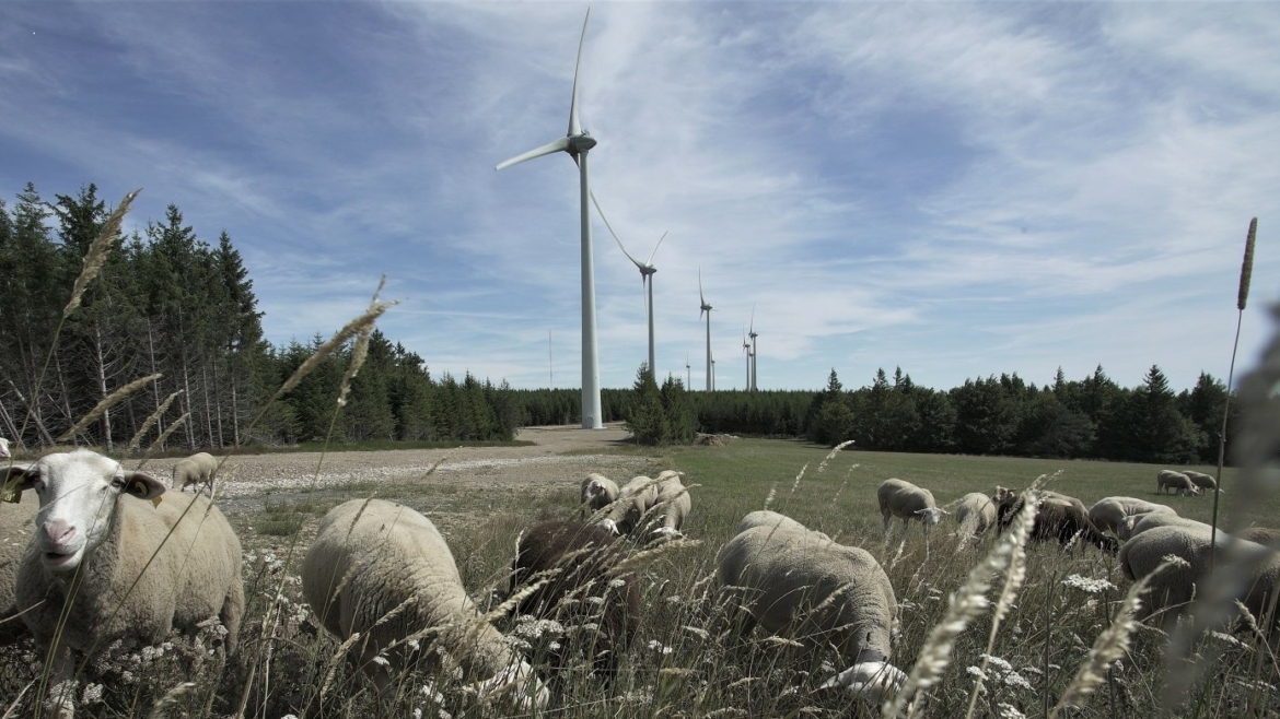 EDF Renouvelables Lozère : reportage photo et vidéo
