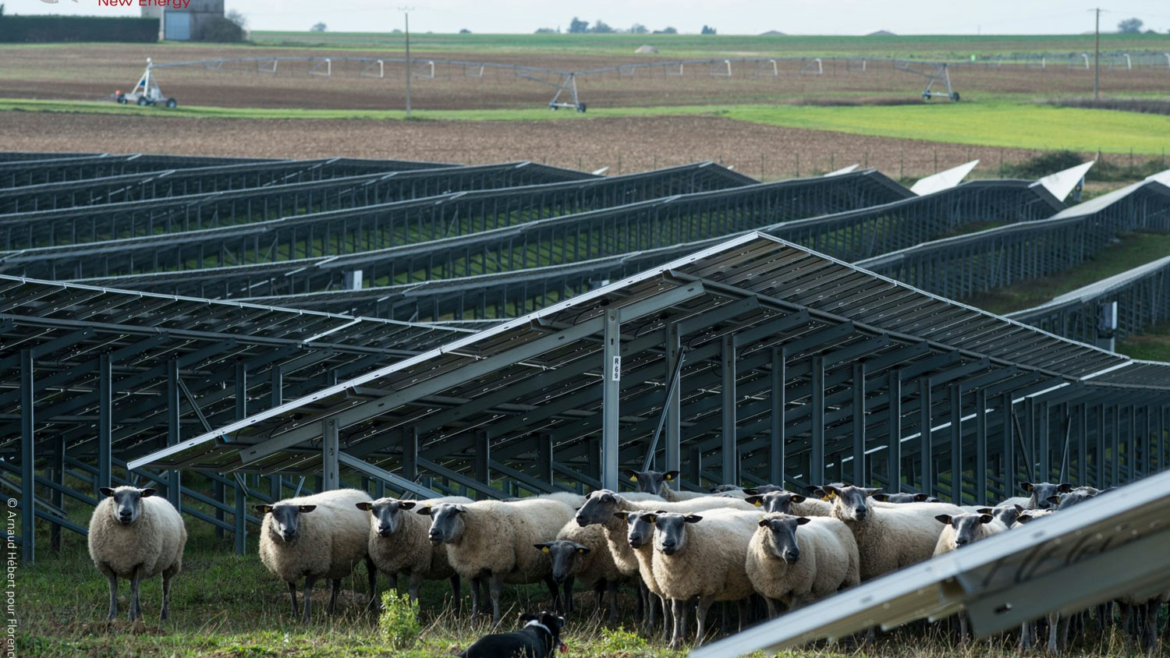 Gestion de projet : reportage photos de la centrale solaire Eurocape New Energy France