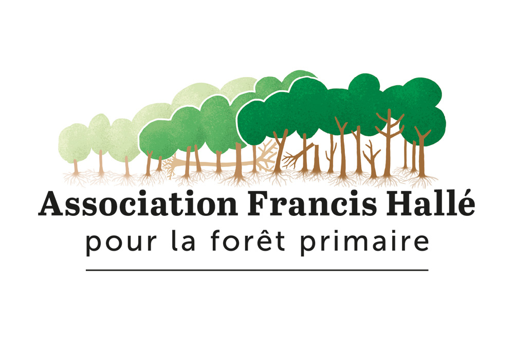 L&rsquo;agence adhère à l&rsquo;association Francis Hallé