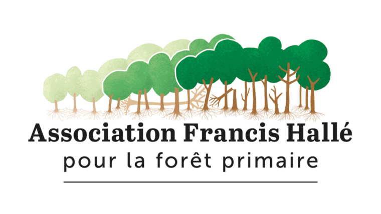 Logo de l'Association Francis Hallé