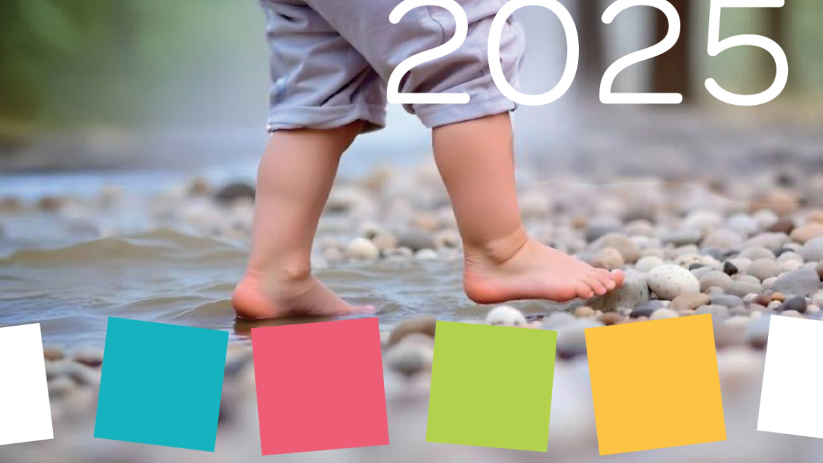 Meilleurs Voeux 2025