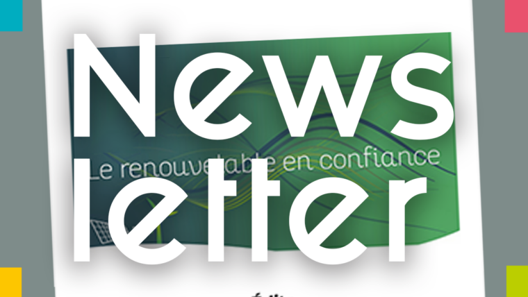 Visuel newsletter florence cailloux décembre 2025